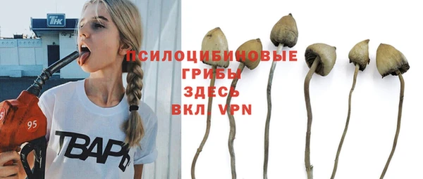 COCAINE Киреевск