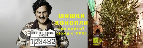 тгк Касимов