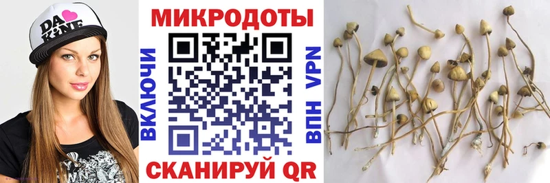 Галлюциногенные грибы GOLDEN TEACHER  Невинномысск 